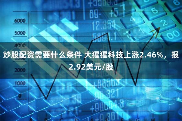 炒股配资需要什么条件 大猩猩科技上涨2.46%，报2.92美元/股